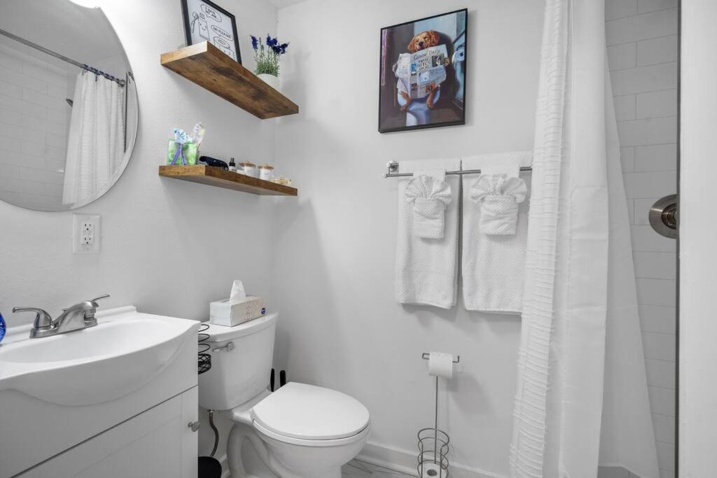Vineyard Cottage-Pet Friendly & Walk To Oaklawn! Χοτ Σπρινγκς Εξωτερικό φωτογραφία